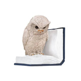 Boekensteun - Uil Oehoe | Fantastic Gifts Shop