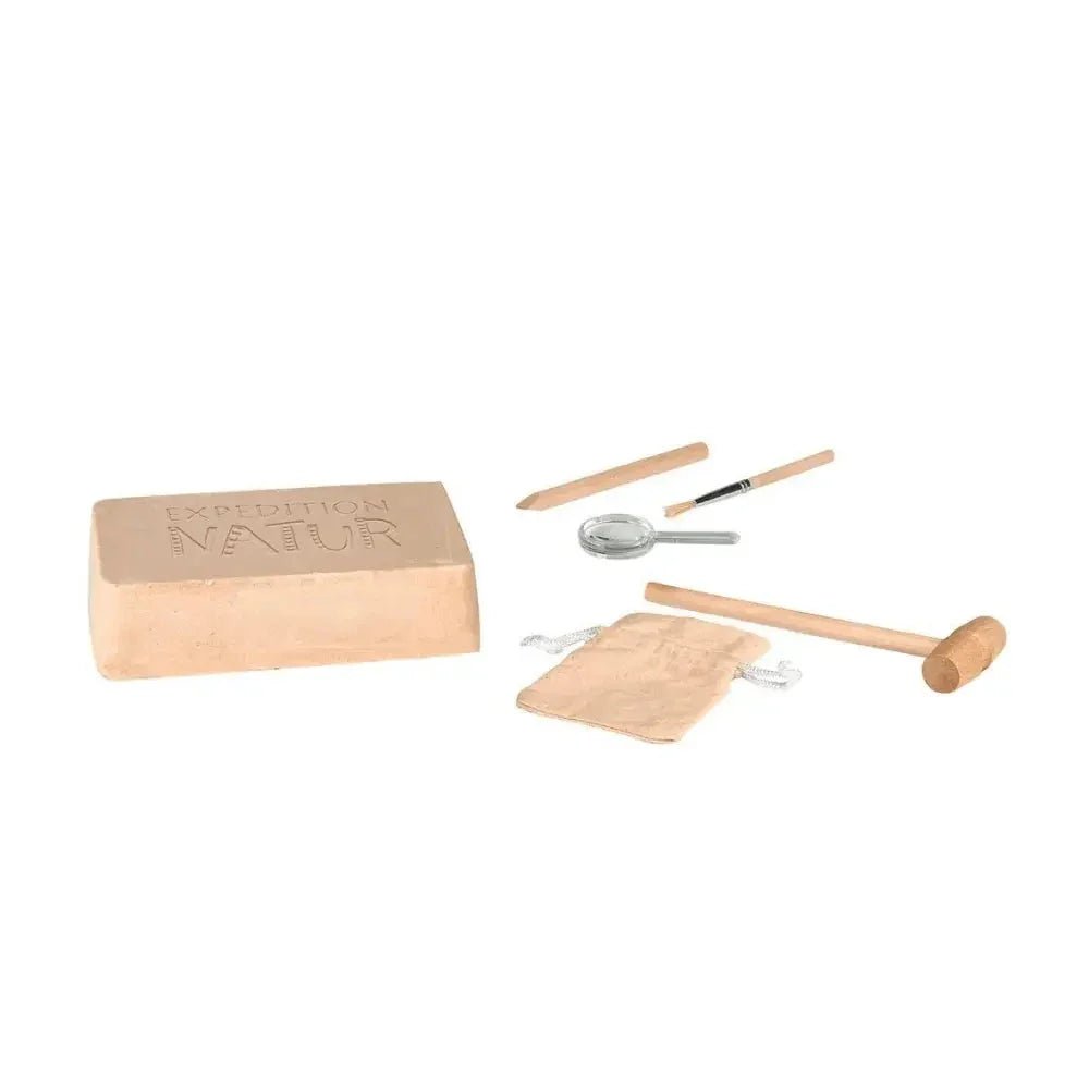 Expeditie Natuur - Uithakset Fossielen | Fantastic Gifts Shop