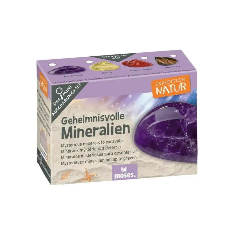 Expeditie Natuur - Uithakset Klein Edelstenen| Fantastic Gifts Shop