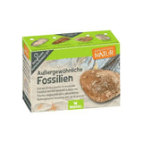 Expeditie Natuur - Uithakset Klein Fossielen| Fantastic Gifts Shop