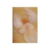 Kaart - Engel van de Vrede | Fantastic Gifts Shop