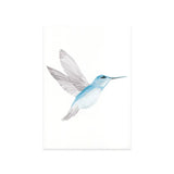 Kaart - Kolibri | Fantastic Gifts