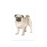 Kaart - Mopshond | Fantastic Gifts