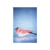 Kaart - Mus | Fantastic Gifts