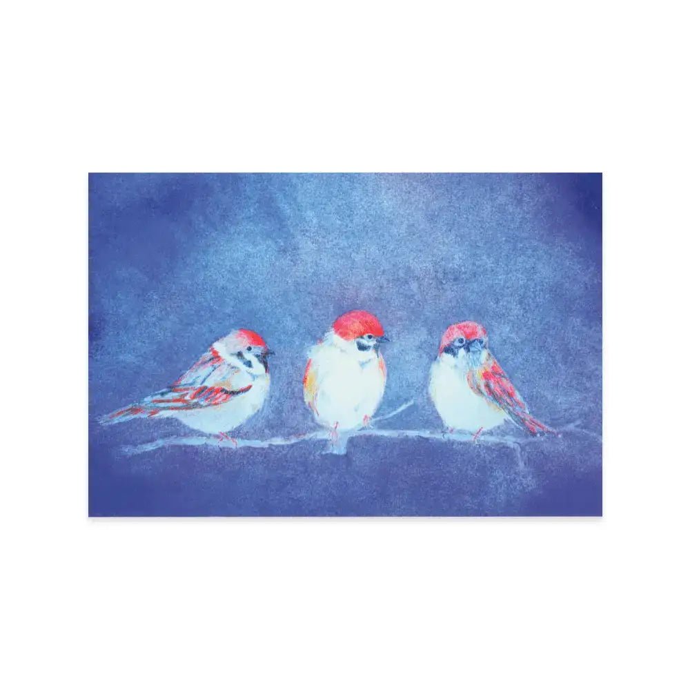 Kaart - Musjes | Fantastic Gifts